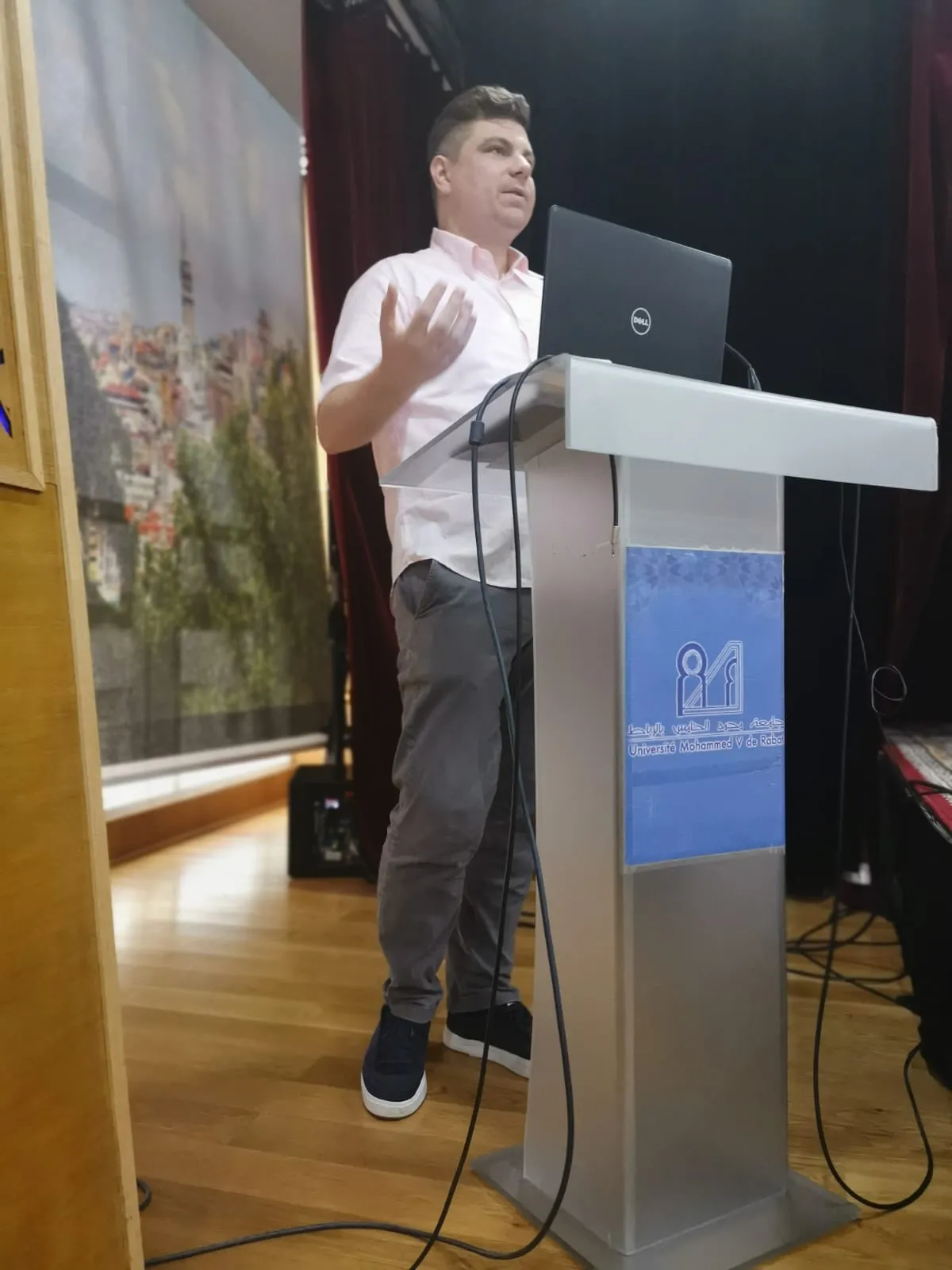 Prof Westervelt presentation 